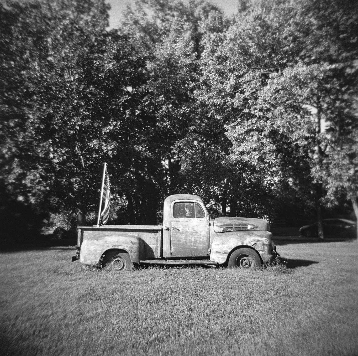 Lawn Ornament