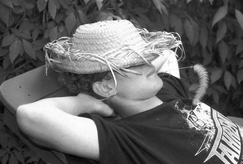 Lazy Day...