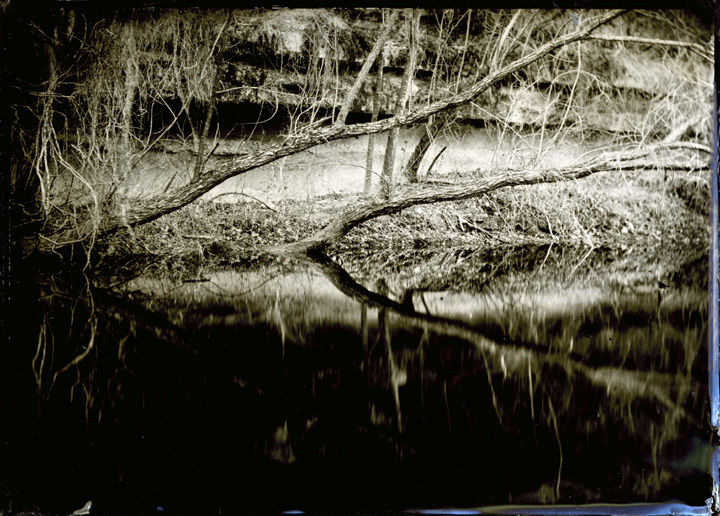 Leaning Trees