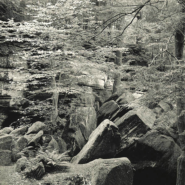 Ledges