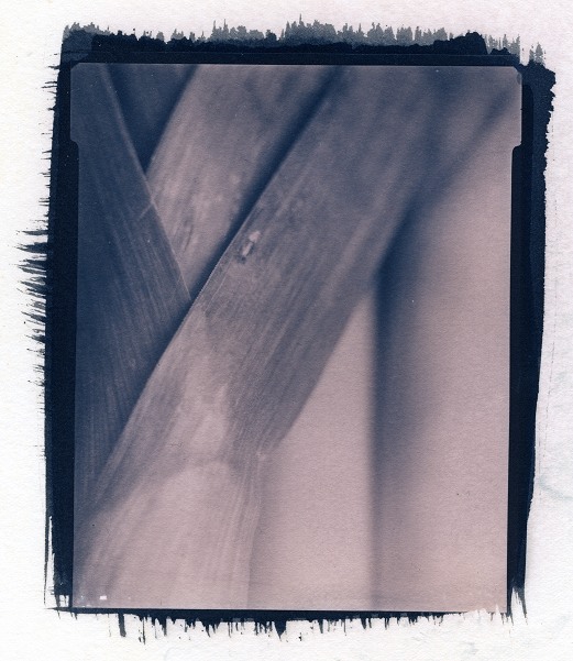 Leeks