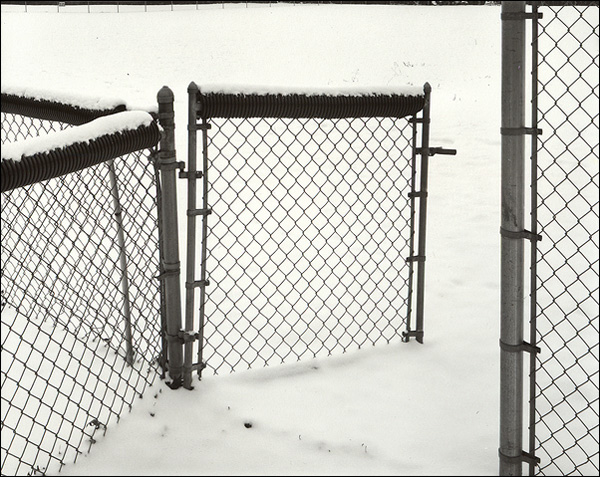 Left Field Gate, New Year's Day
