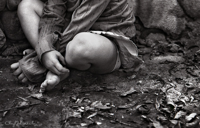 legs and leaves