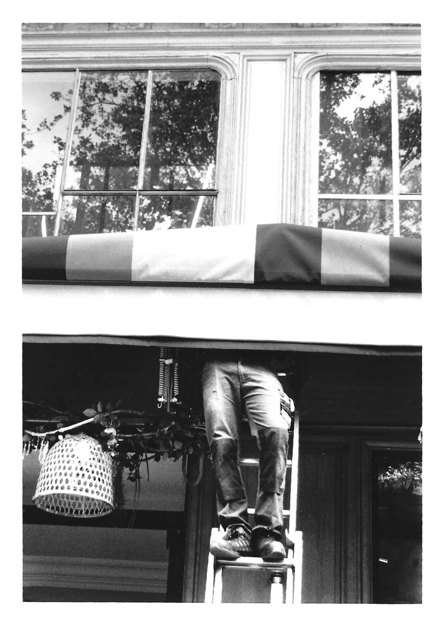 Legs
