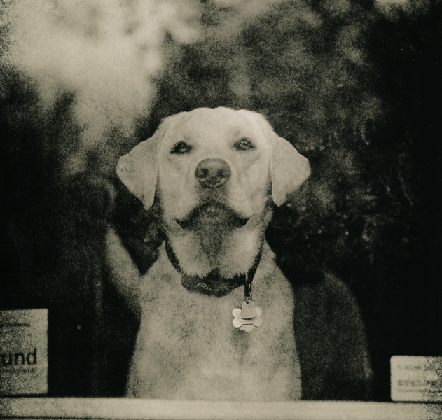 Let Me Out