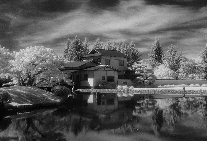 Lethbridge Japanese Gardens 1