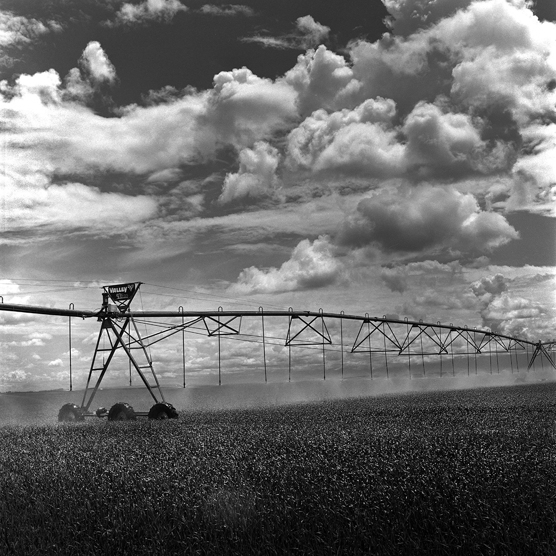 Lethbridge_farm_water_1100