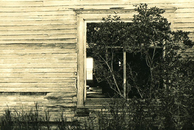 Levering Rd Window
