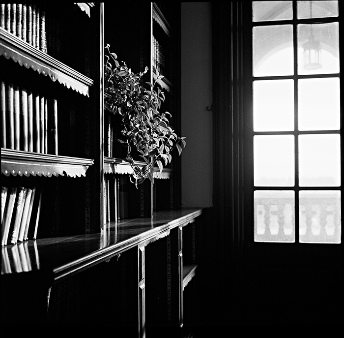 Library Afternoon