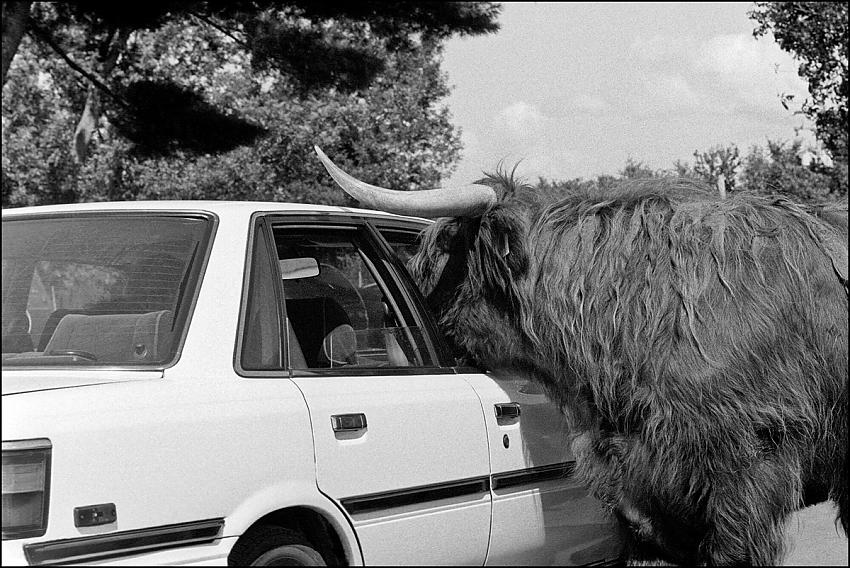 License and registration, please