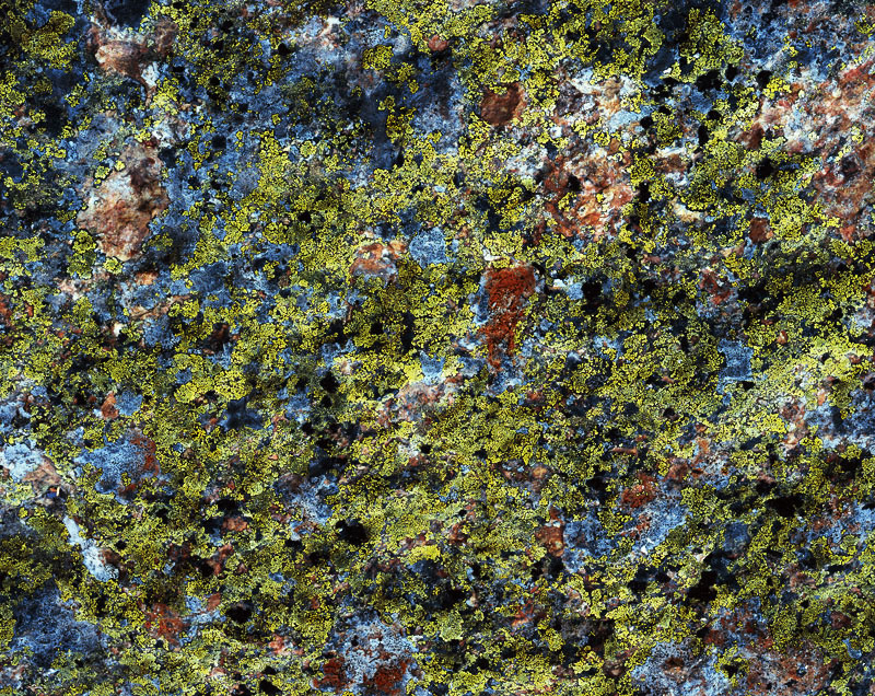 Lichen on a big piece of broken mountain that tumbled down a few centuries