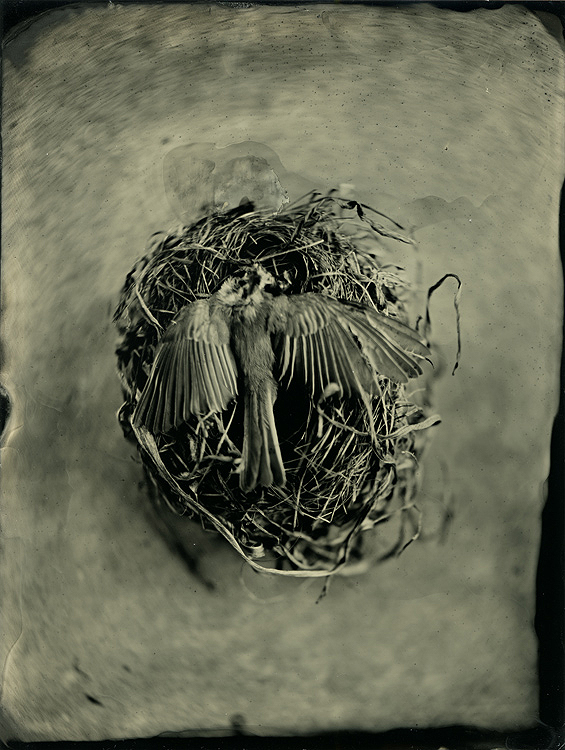 Life &amp; Death