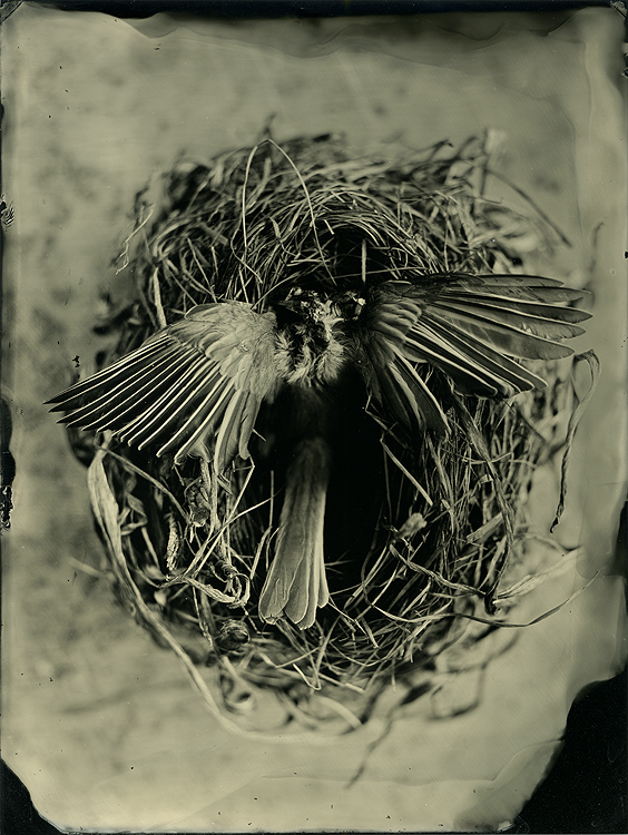Life and Death 2