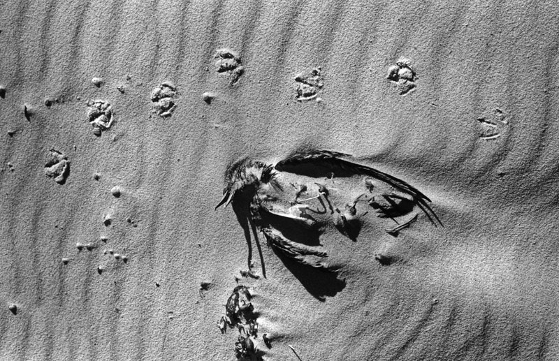Life and death.