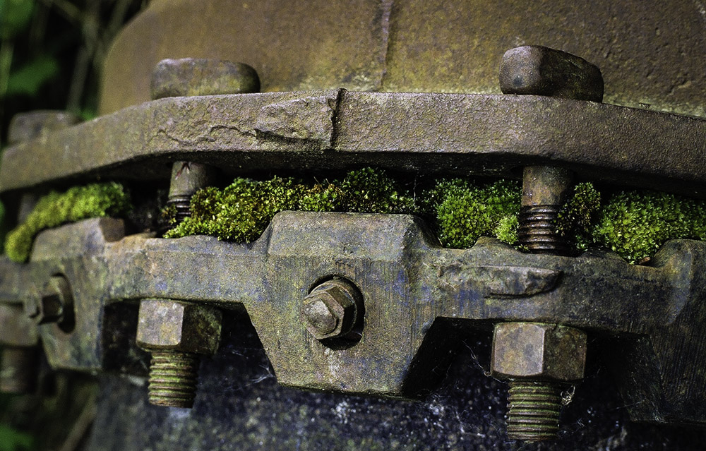 Life Will Find a Way