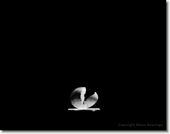 "Life"