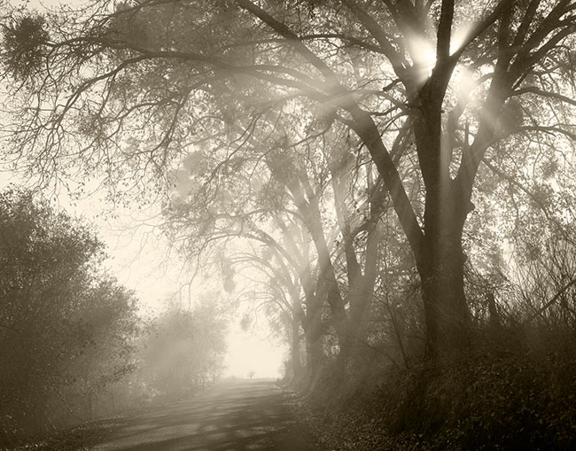 Lifting Fog