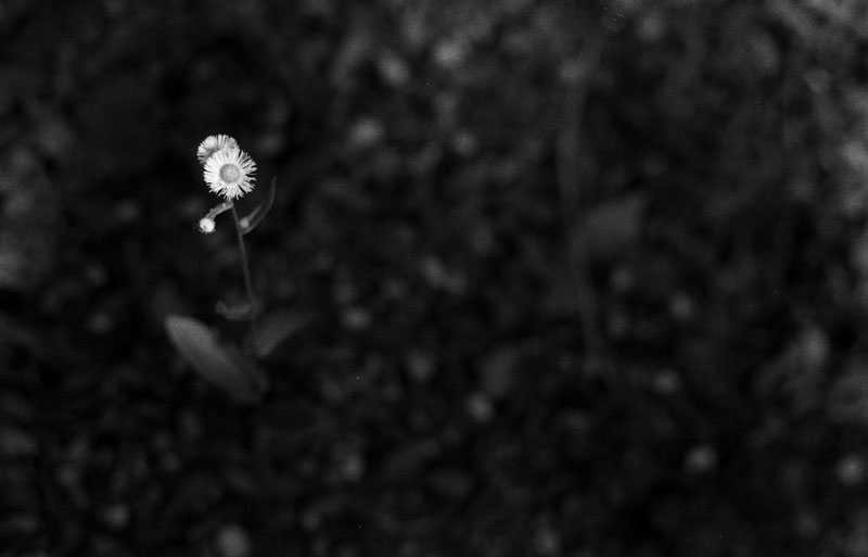 light 2