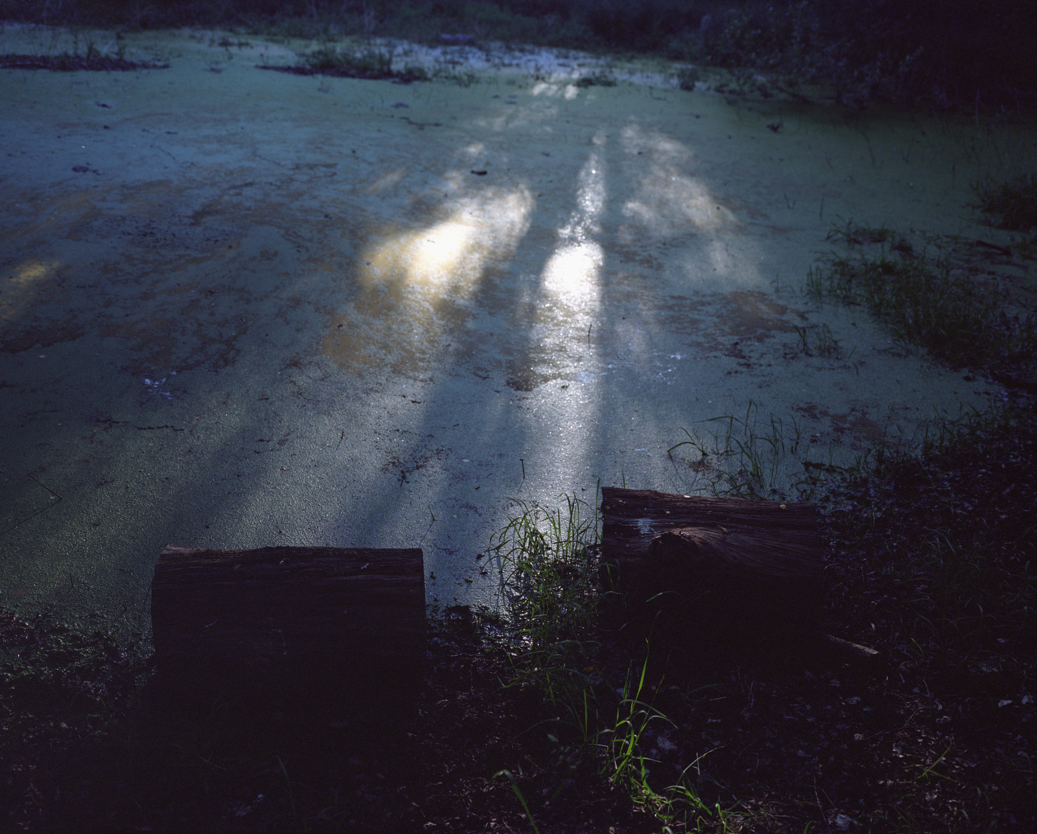 Light afternoon shadows