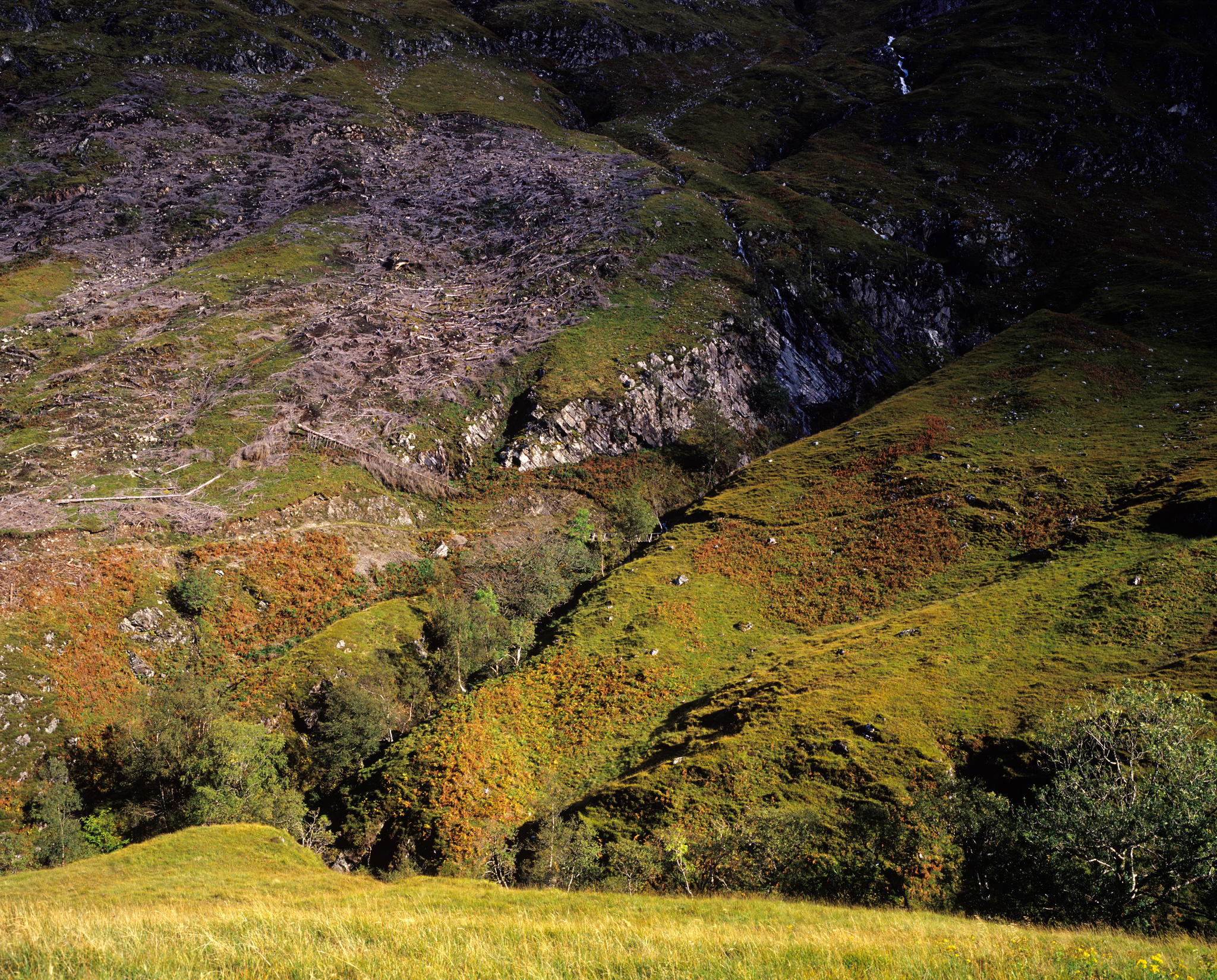 Light and shade on Scottish hillside