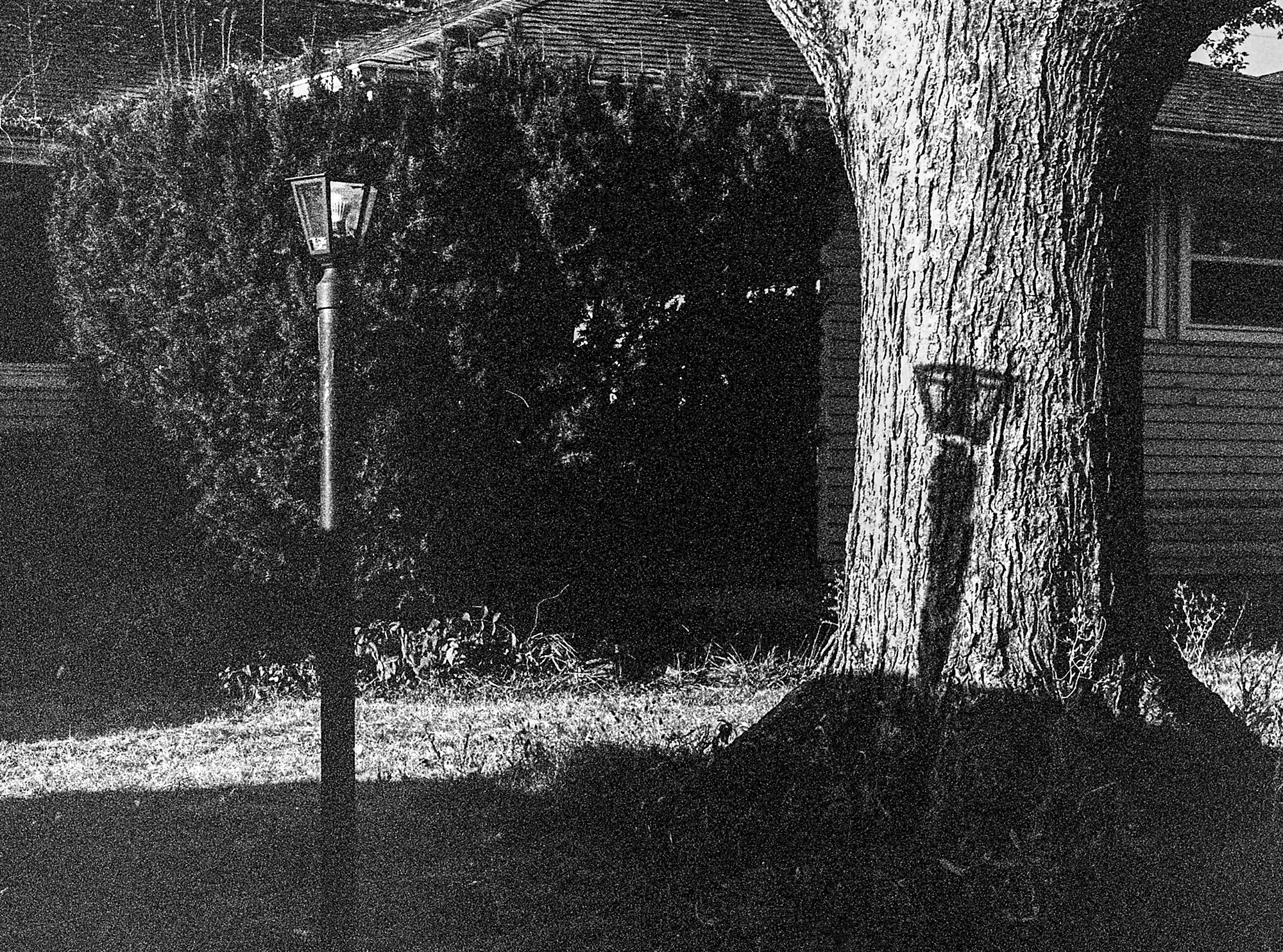 Light at Paul's House