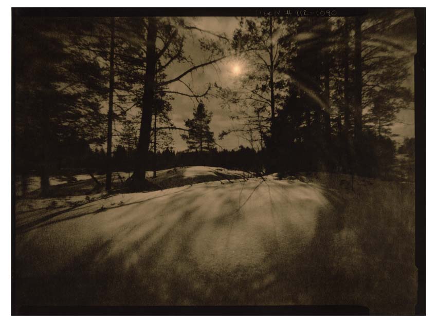Light Being Back (3b, lith print )