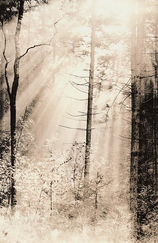 Light Fantastic