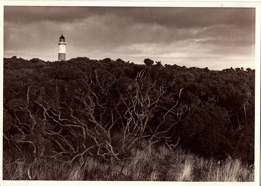 Lighthouse