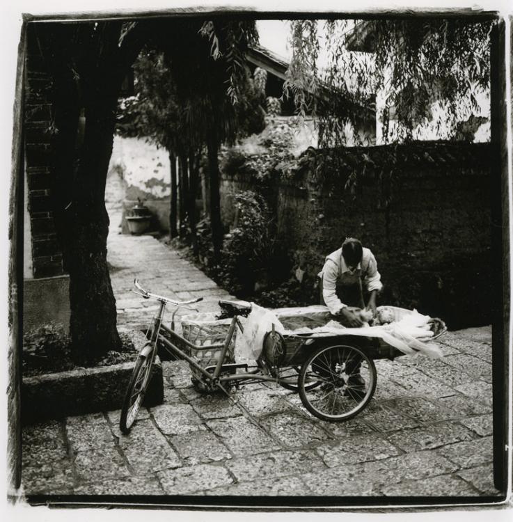 Lijiang Woman, 2009