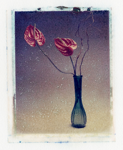 Lilly