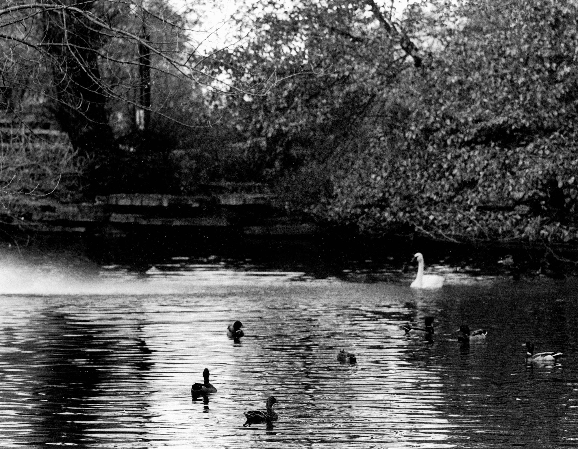 Lincoln Park Aviary