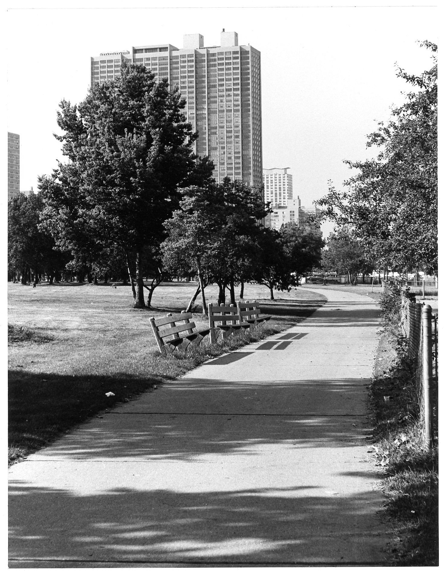 Lincoln Park Pathway