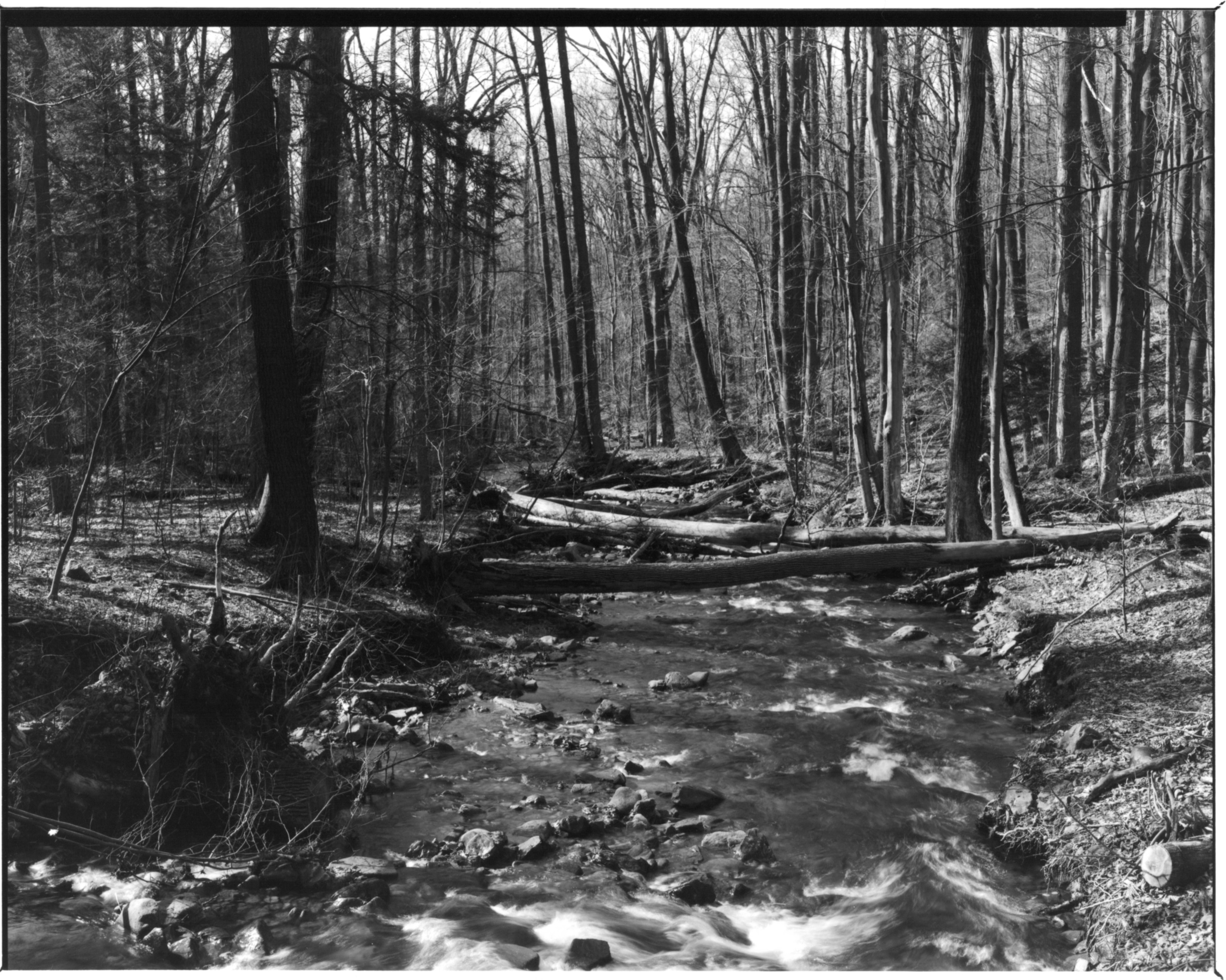Linn Run ii