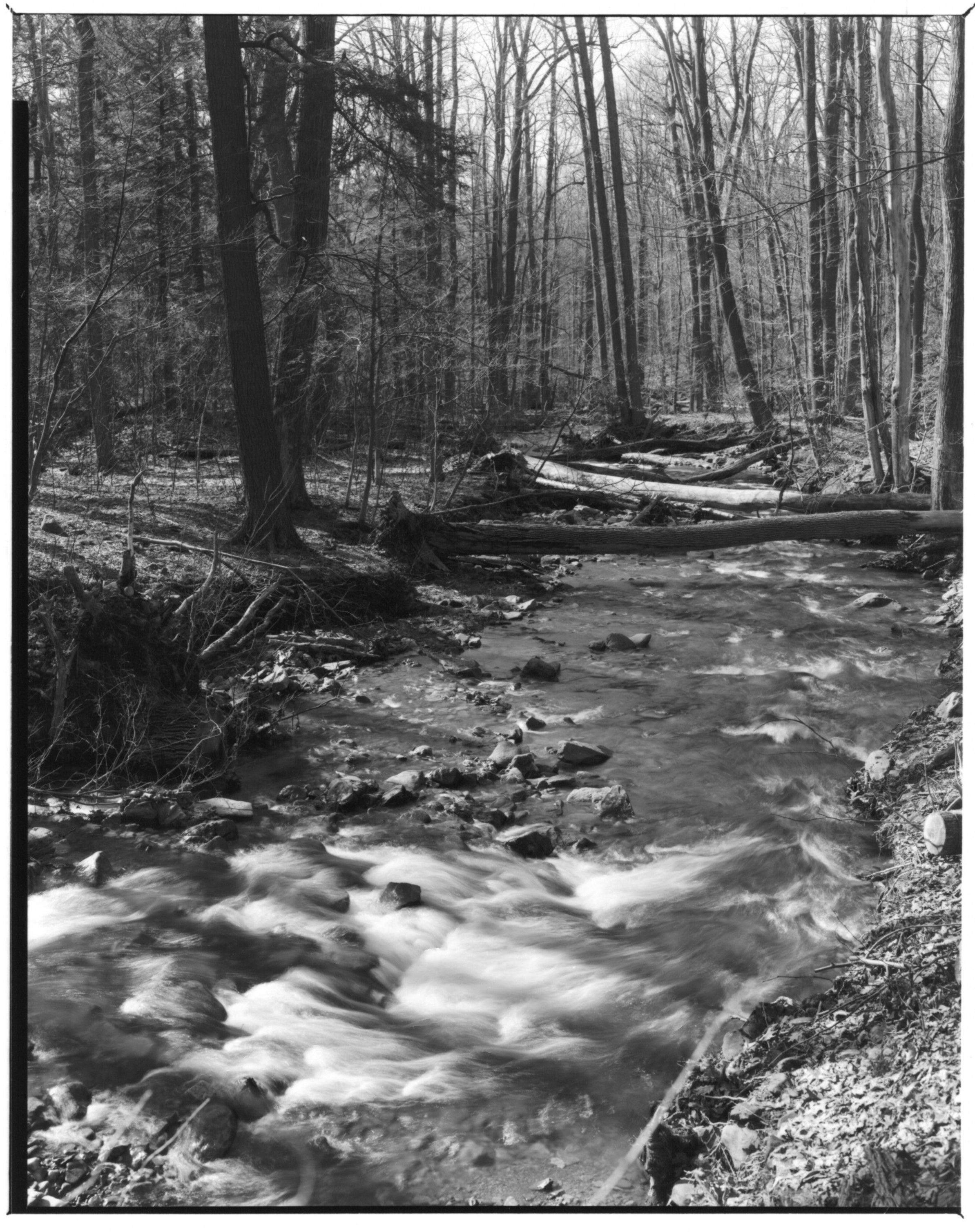 Linn Run