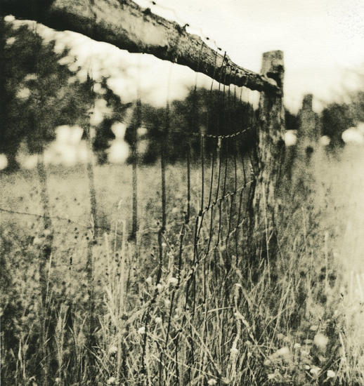 Lin's Fence 2