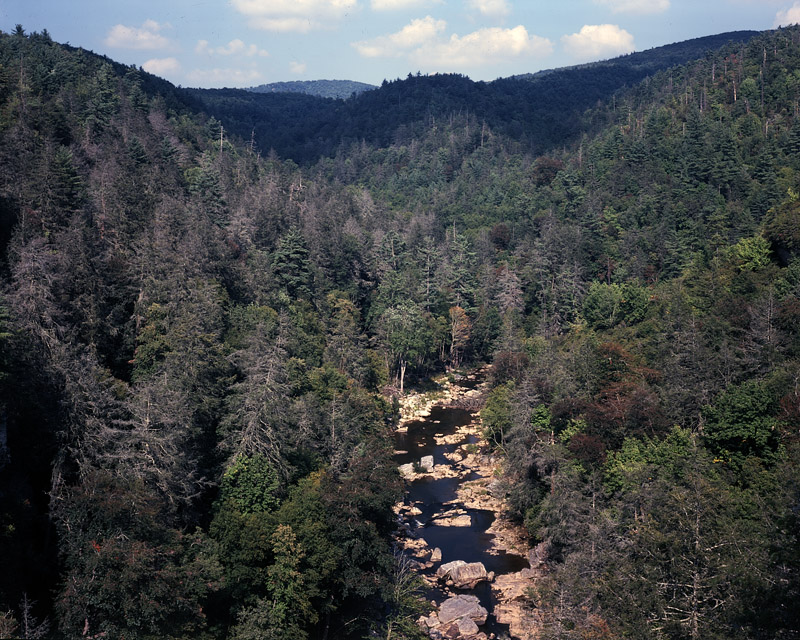 Linville Gorge Wilderness