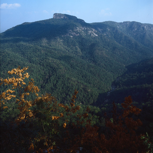 Linville Gorge