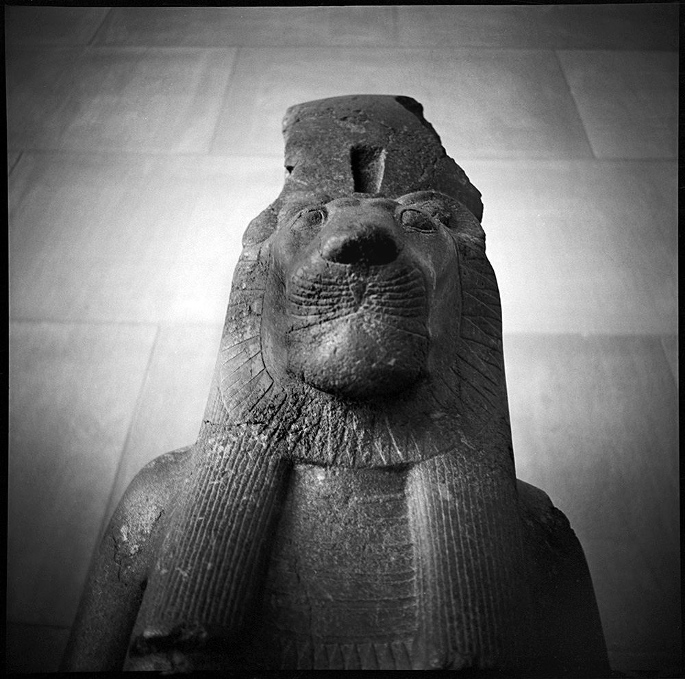 Lion Headed Goddess