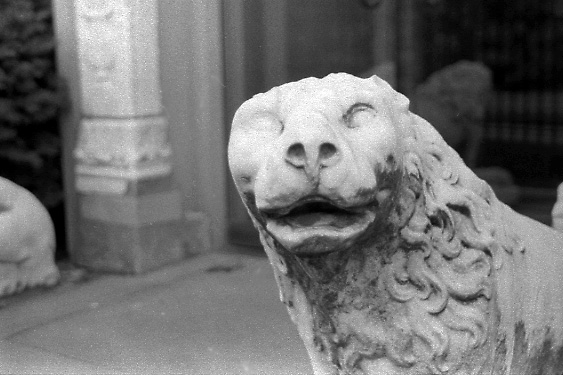 Lion, Isabella Stewart Gardner Museum, Boston
