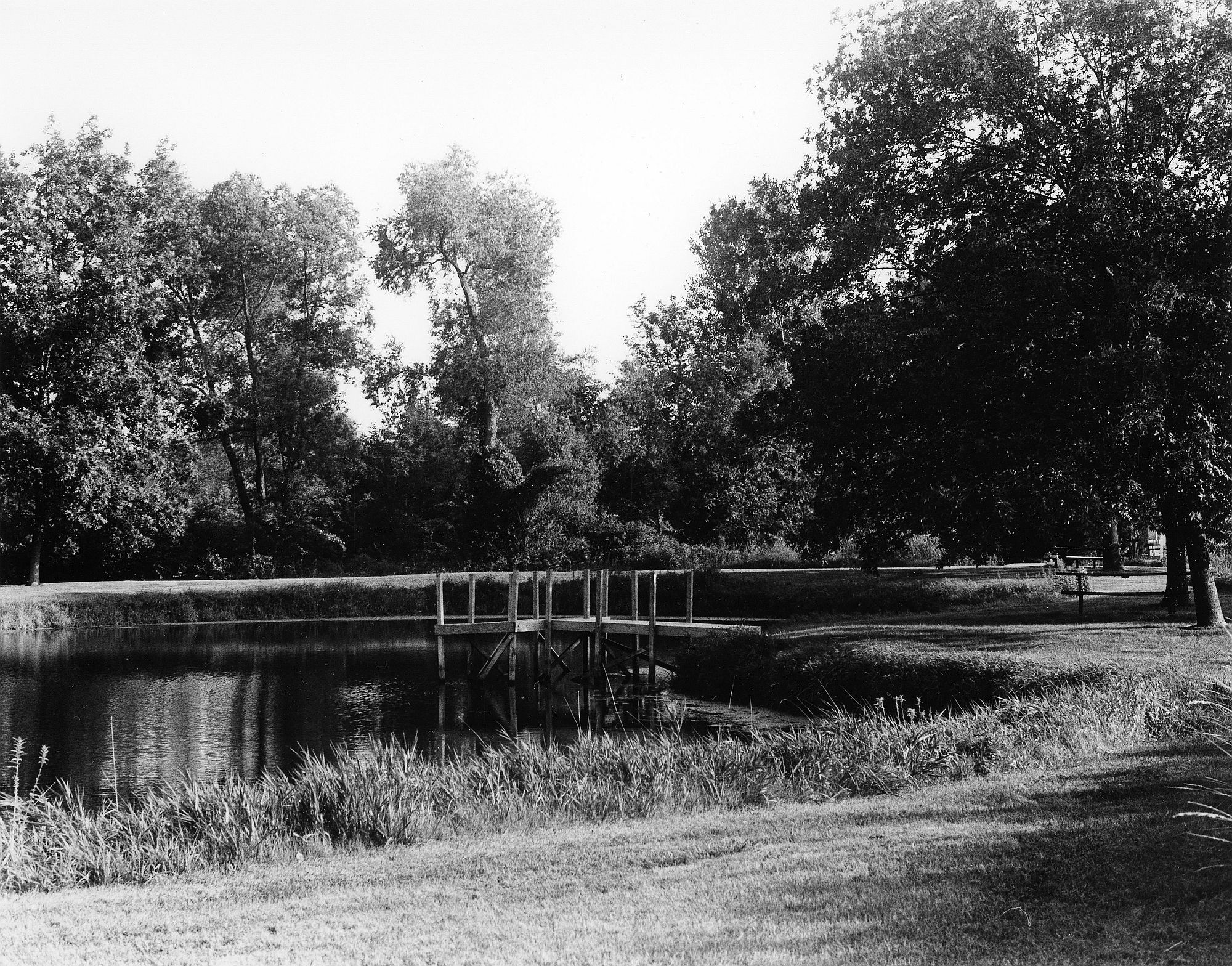 Lions Park-2