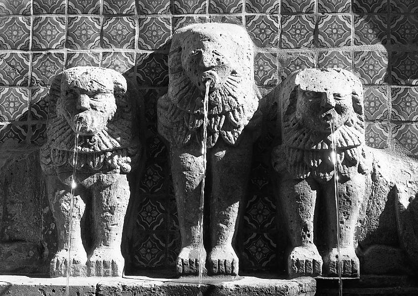 Lions