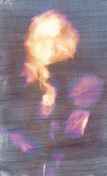 liquid lumen