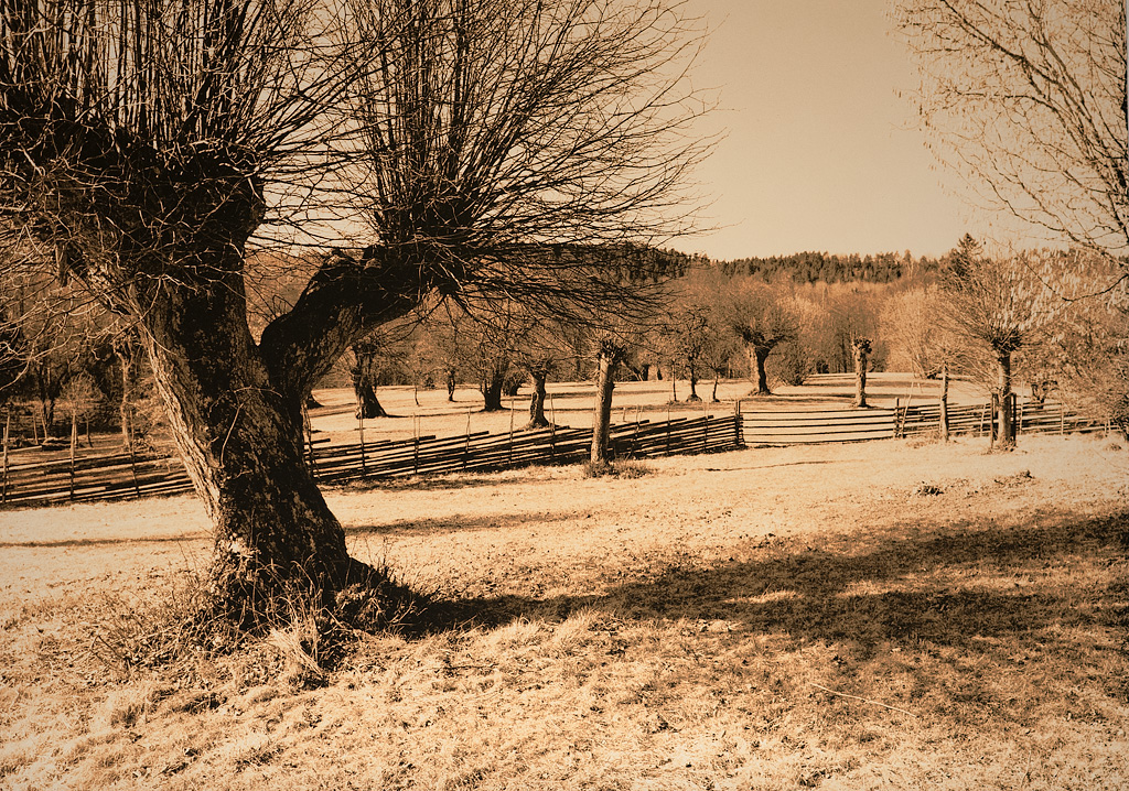 Lith #4