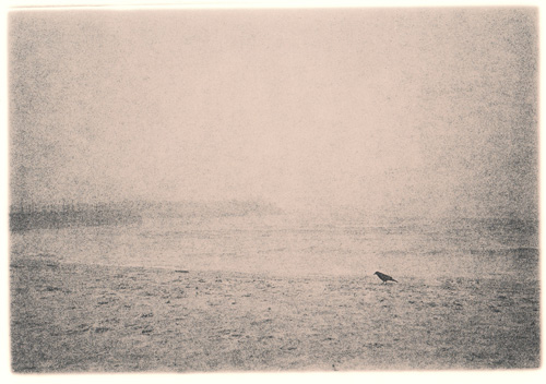 Lith print, Crow Davis Street Beach
