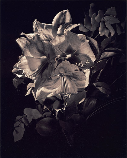 Lith Redev. Adox Variotone