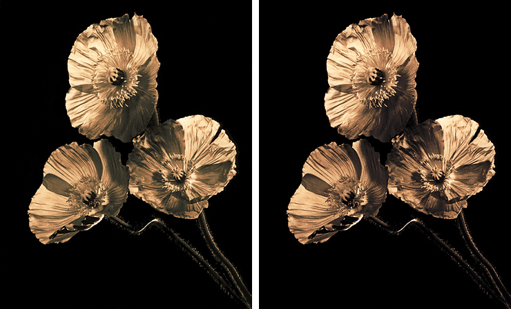 Lith, selenium or not - just for comparison