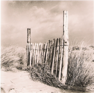 Lith & Toning Workshop Prints