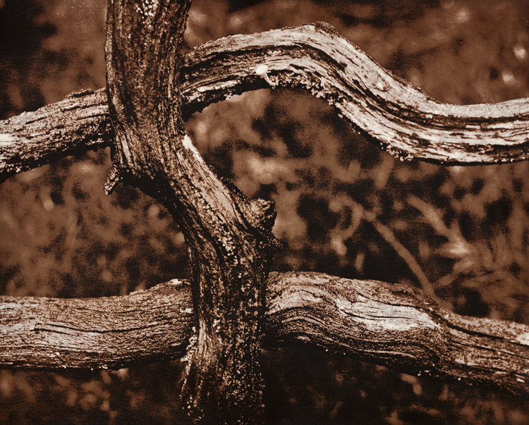 Lithed Lattice
