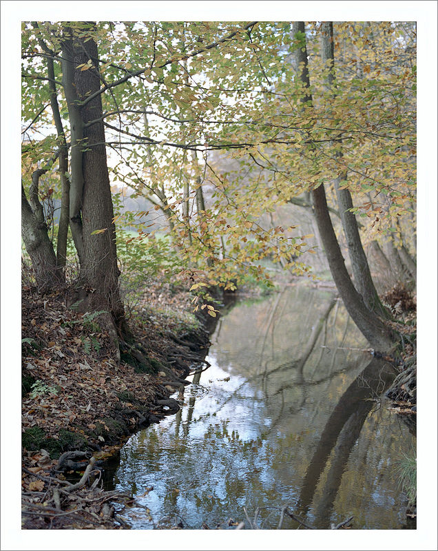 little brook