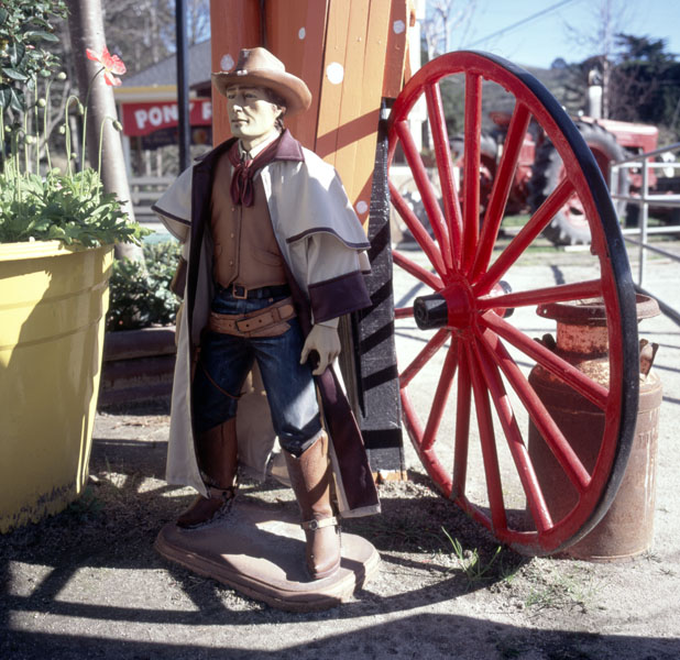 Little Cowboy/Pony Rides